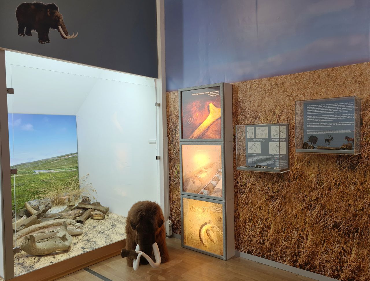 Mammut-Funde in der Ausstellung (© Stillfried - Zentrum der Urzeit)